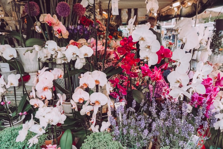 44748516092_50ba6f96ca_o